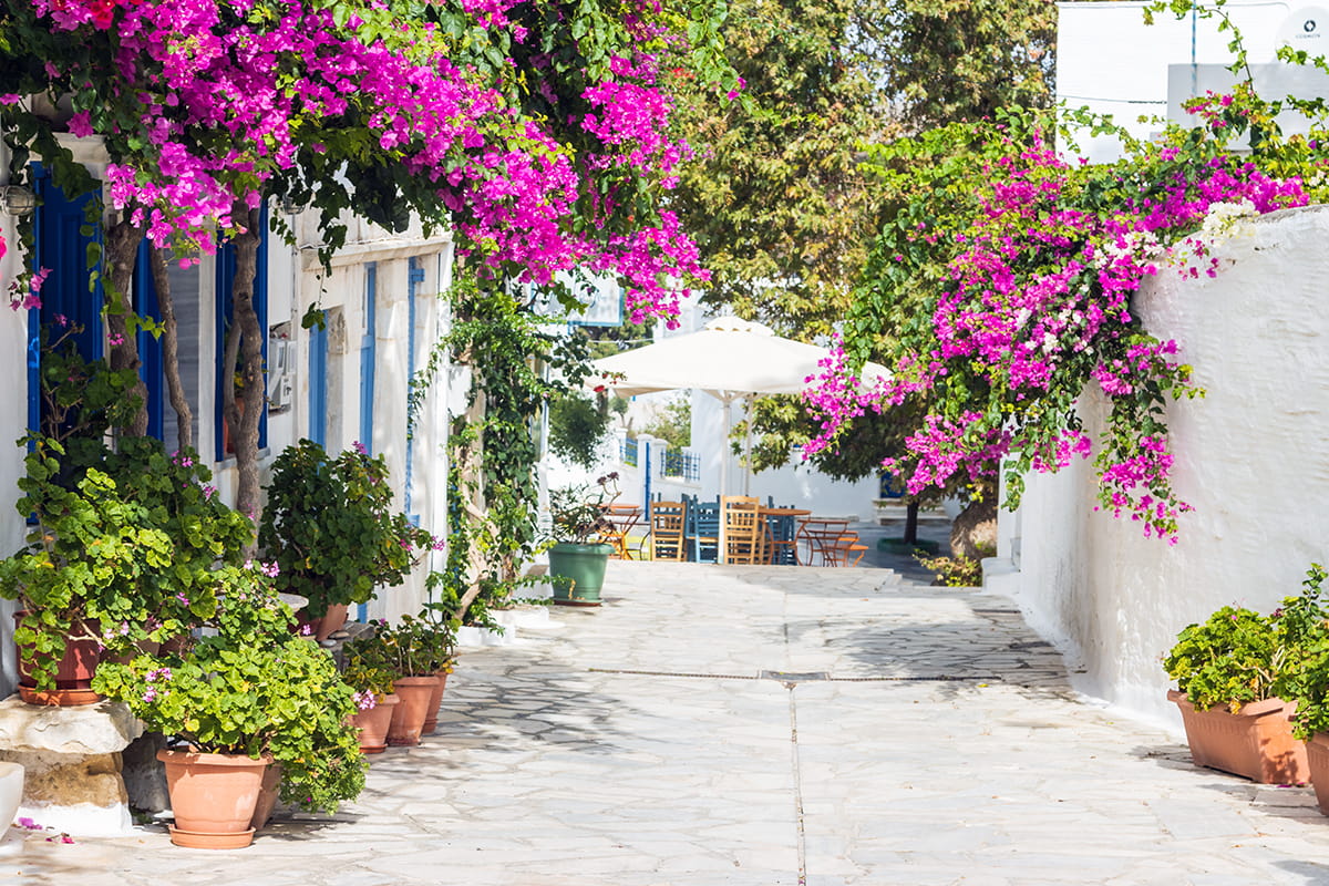 Plaka